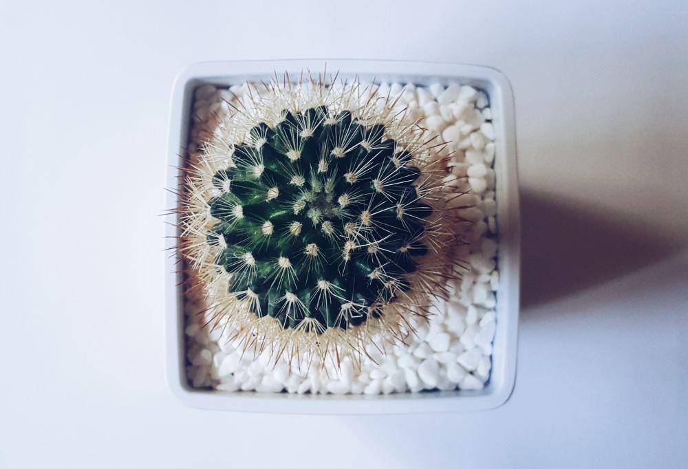 unsplash/timJ