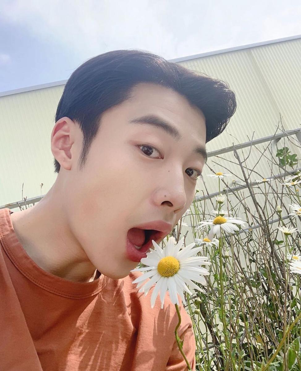 Instagram.com/wdohwan