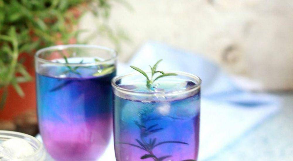 lemonlily.ca