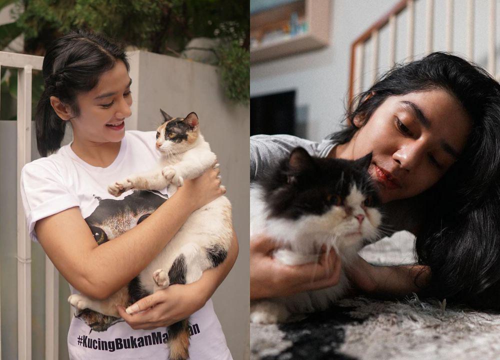 10 Potret Gemas Fanny Ghassani Bareng Kucing-kucing Kesayangannya