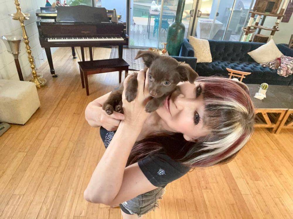 Instagram.com/officialcynthiarothrock