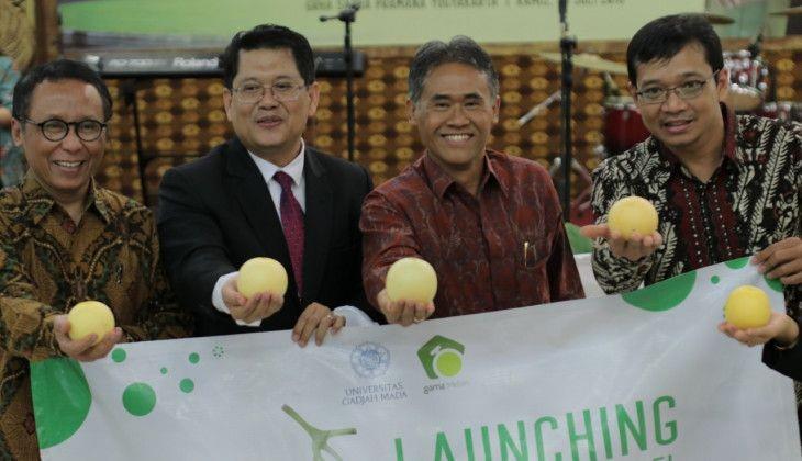 Diinisiasi Sejak Tahun 1997, UGM akhirnya Miliki Hak Paten 2 Melon