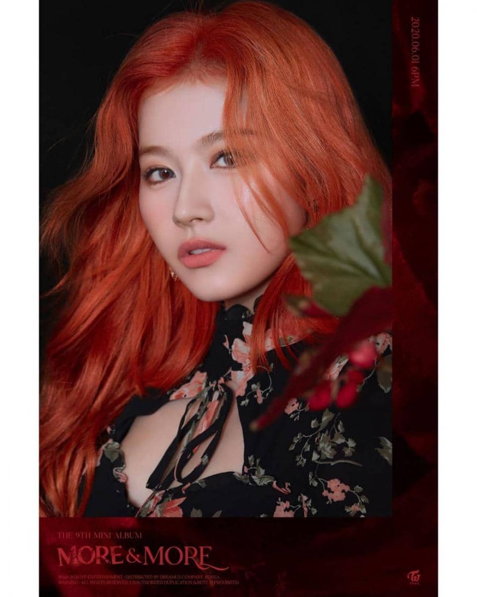 instagram.com/sana.twice.kr/