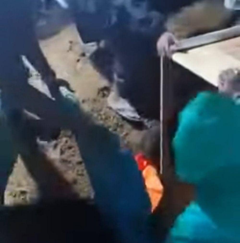 Potongan video viral prosesi pemakaman yang gagal (Youtube)
