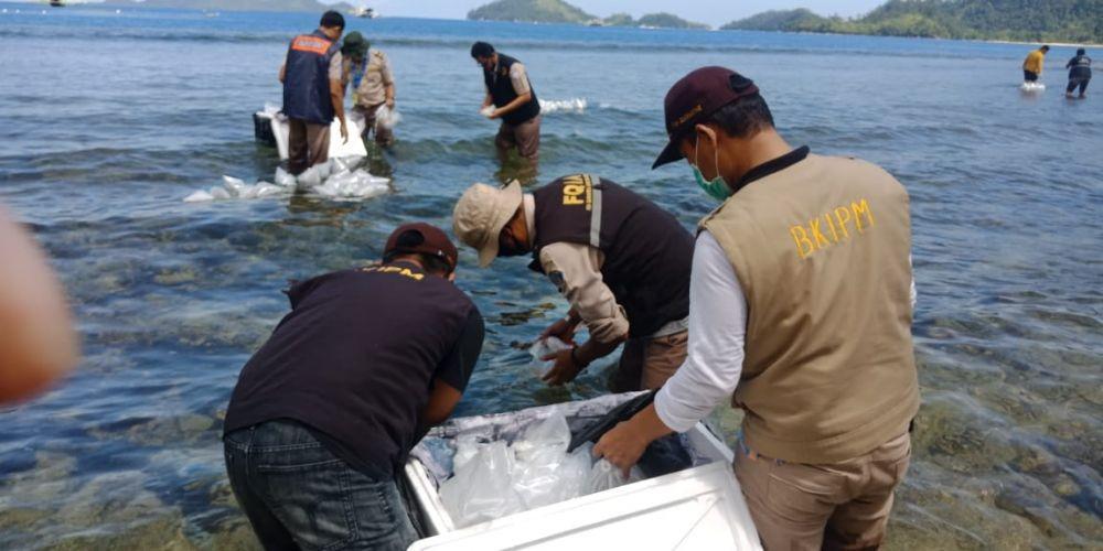 Tolak Ekspor Benih Lobster, Emil Salim Minta Jokowi Batalkan Permen KP