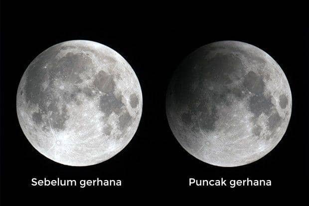 immediate.co.uk/Caption by IDN Times