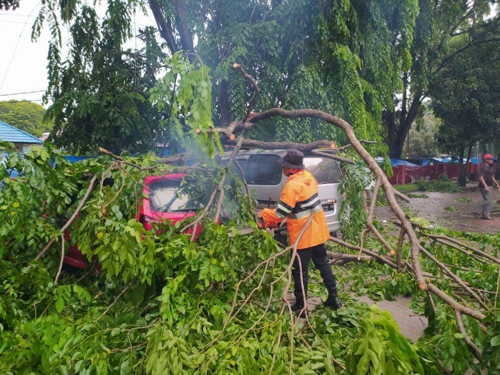 Ranting pohon timpa dua mobil (Dok.IDN Times/istimewa)