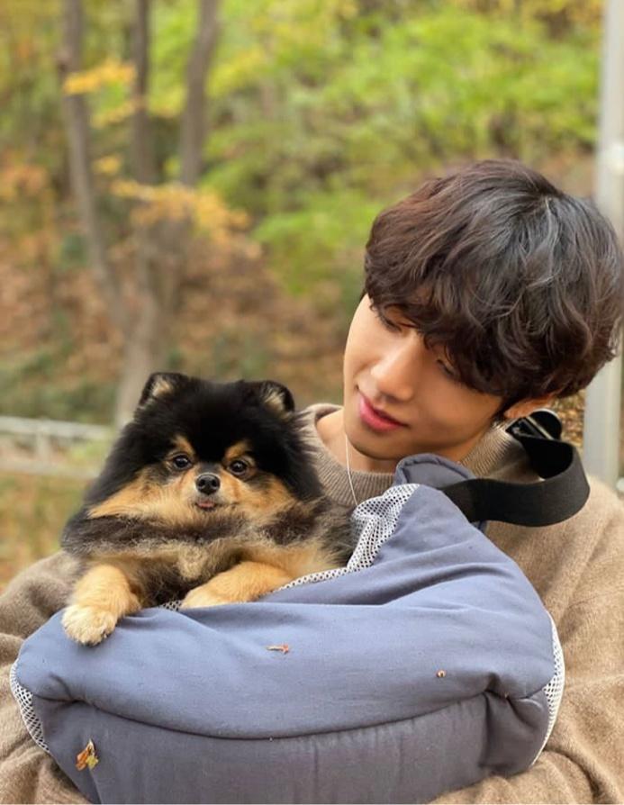 10 Potret Idol Korea dengan Anjing Kesayangannya, Menggemaskan!
