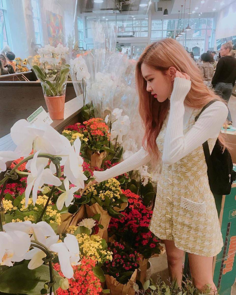 Instagram.com/roses_are_rosie
