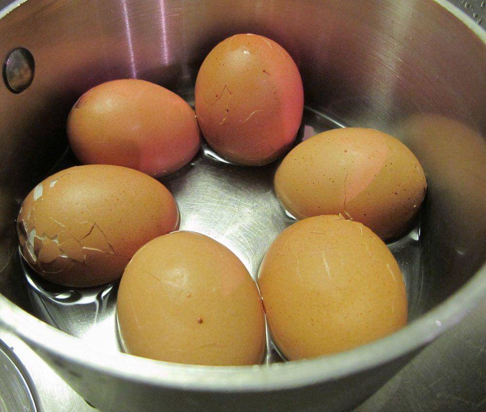 hedonisticwellness.com