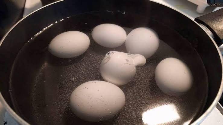 Youtube/Morgan Estes