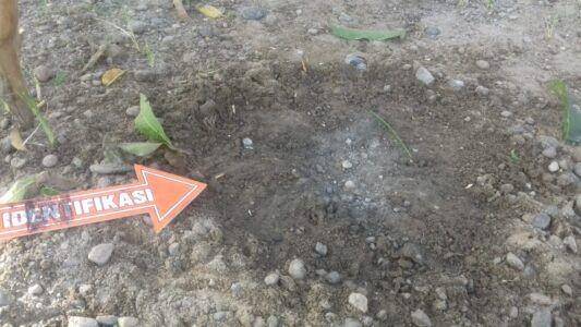 Lubang bekas ledakan granat yang ada di halaman rumah Ahmad Yani (Istimewa)