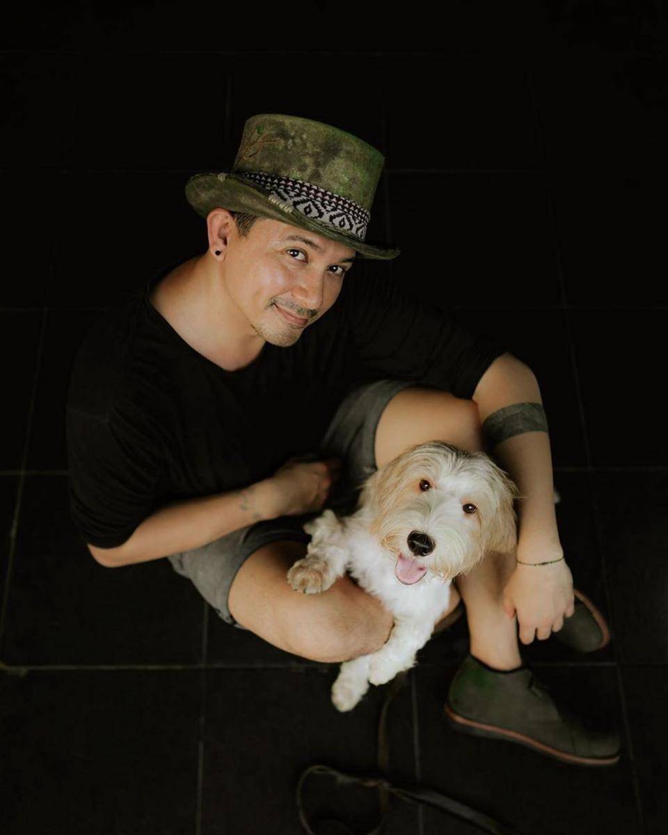 Instagram.com/tail_wagging