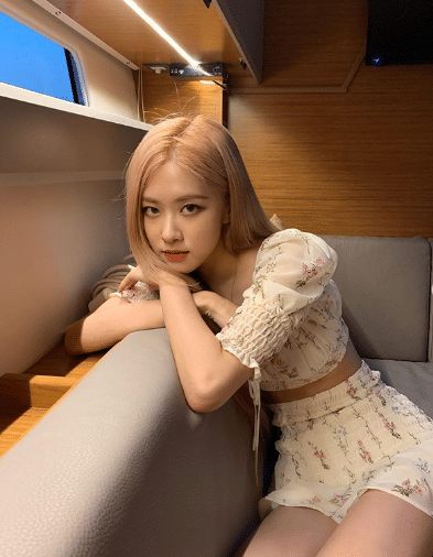 instagram.com/roses_are_rosie