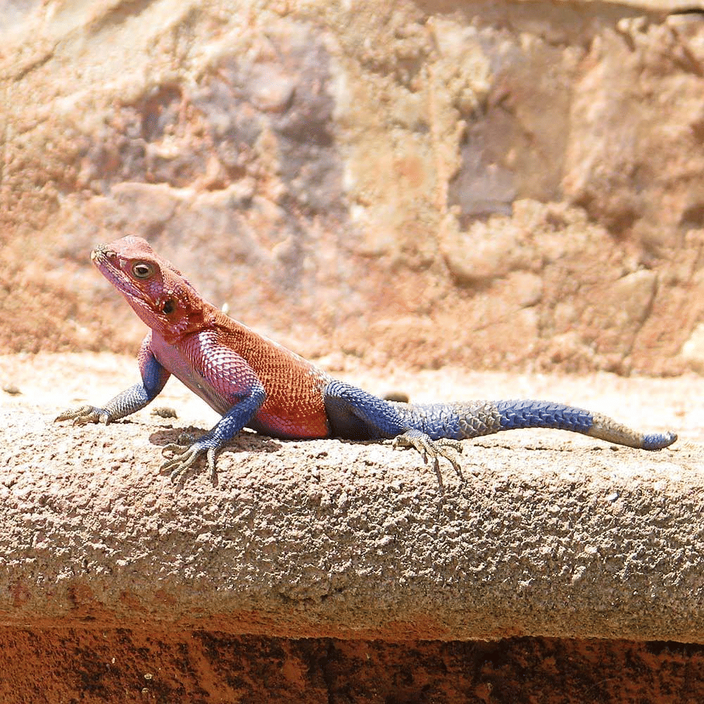 Instagram.com/stevenbrumby