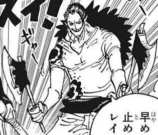 One Piece Fandom