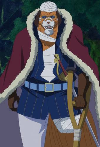 onepiece.fandom.com