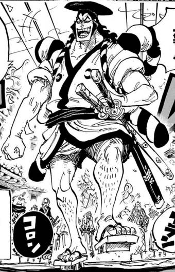 onepiece.fandom.com