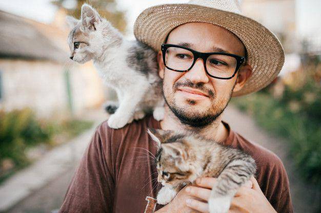 ilustrasi kucing mendapat banyak perhatian (Freepik.com/ benevolente82)