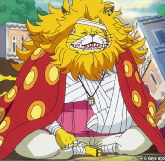 onepiece.fandom.com