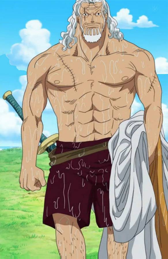 onepiece.fandom.com