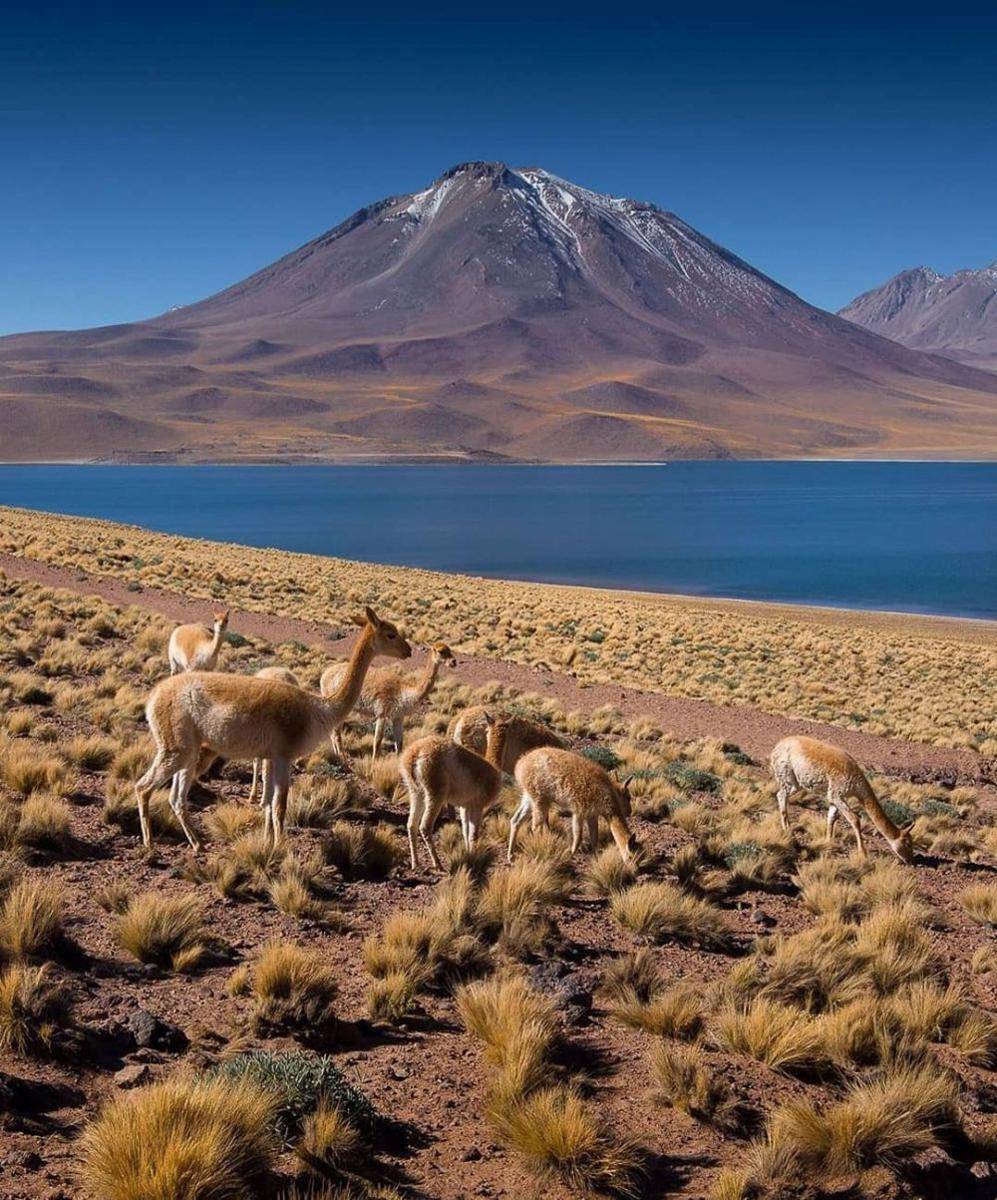 instagram.com/viajando__comigo/