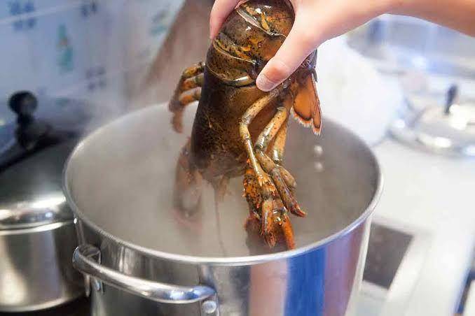 simplyrecipes.com
