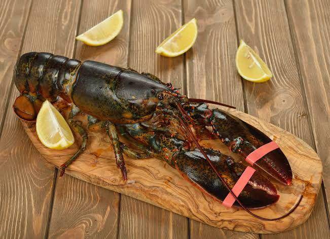 santamonicaseafood.com