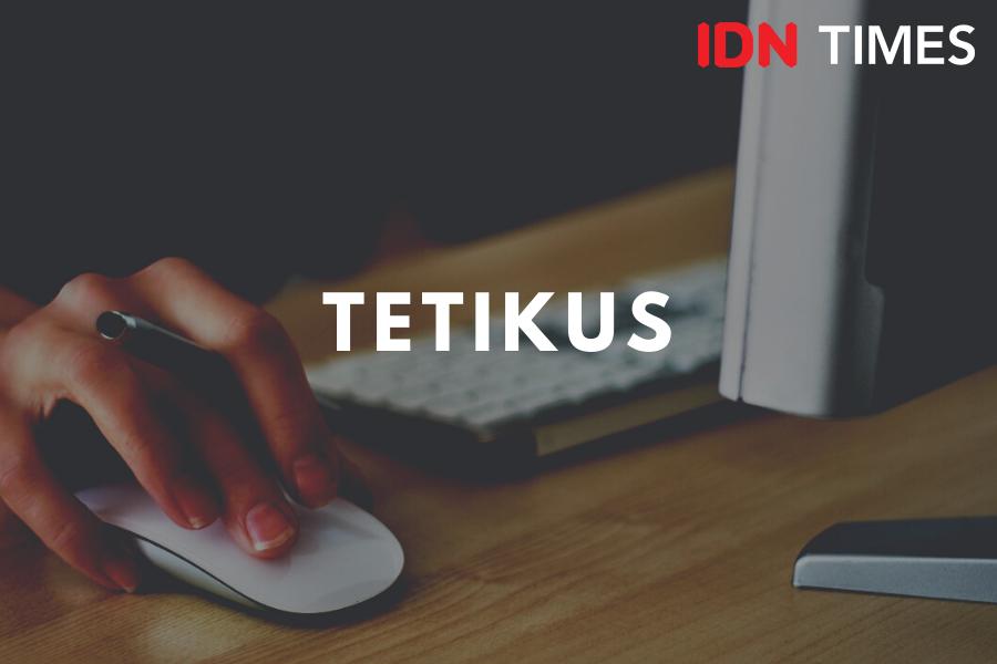 5 Kosakata dalam Bidang Komputer yang Berawalan Huruf T, Tahu Tetikus?