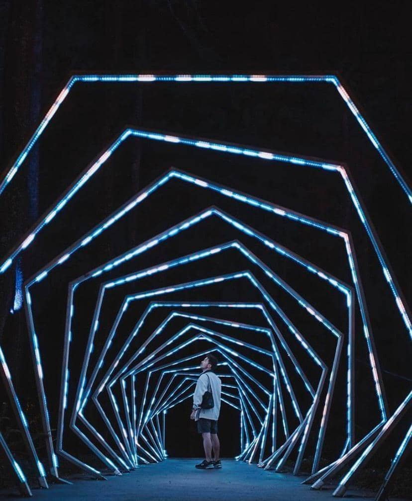 Dok.IDN Times/Istimewa