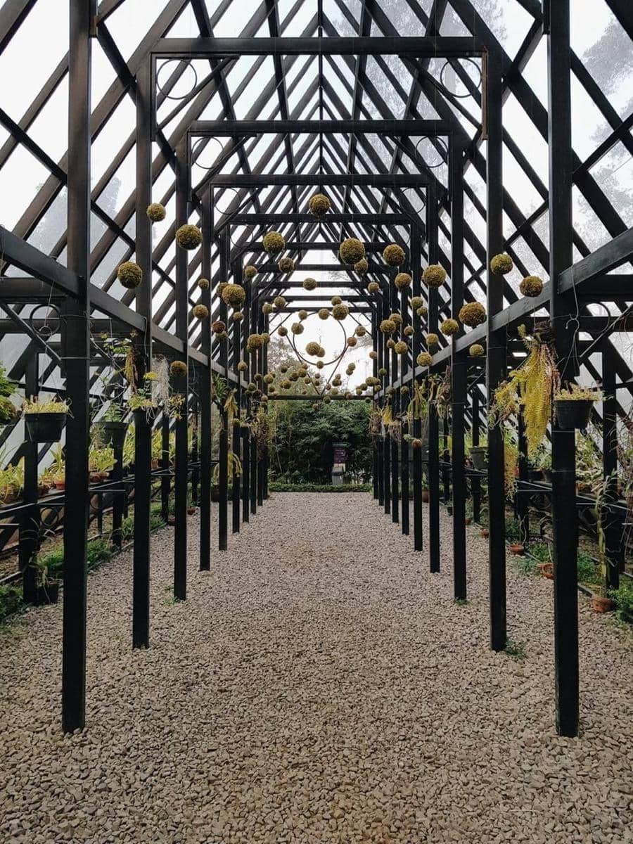 Dok.IDN Times/Istimewa