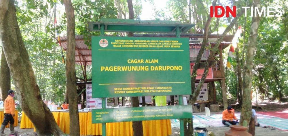 Cagar Alam Darupono. Fariz Fardianto/IDN Times