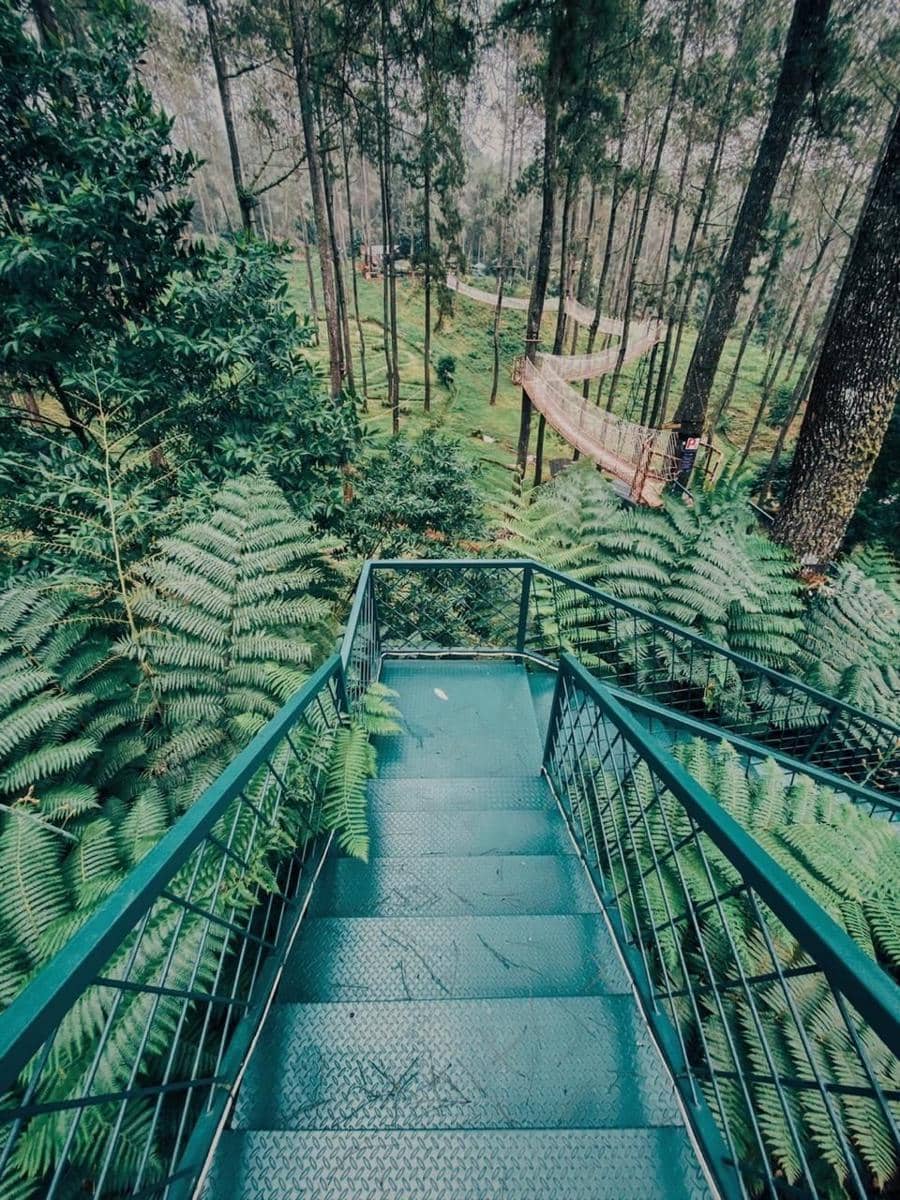 Dok.IDN Times/Istimewa