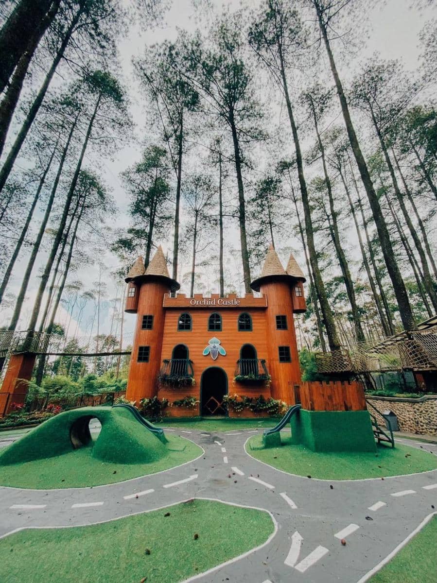 Dok.IDN Times/Istimewa