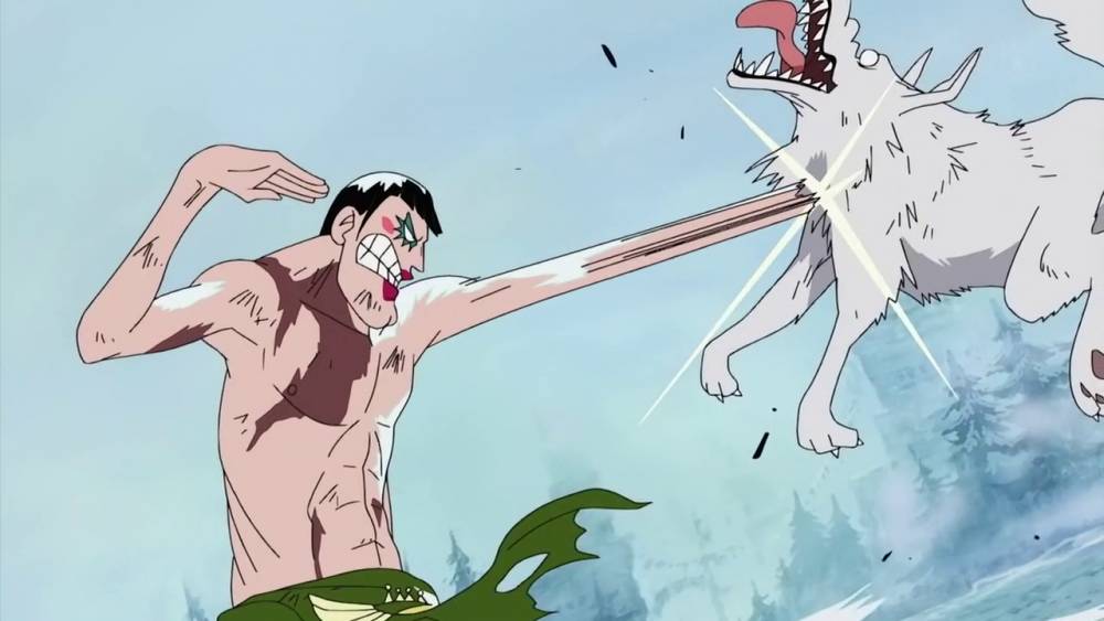 onepiece.fandom.com