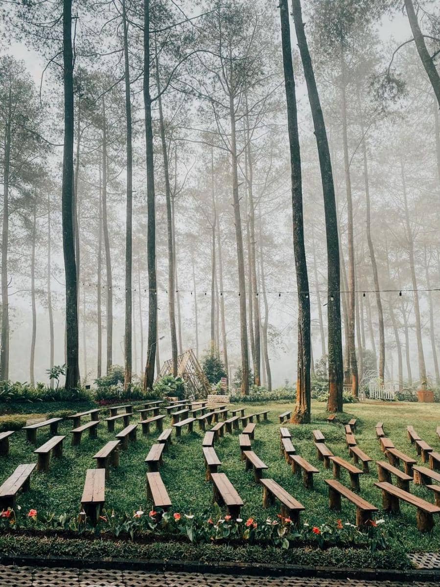 Sudah Buka, Orchid Forest Cikole Siapkan Masker Gratis Bagi Pengunjung