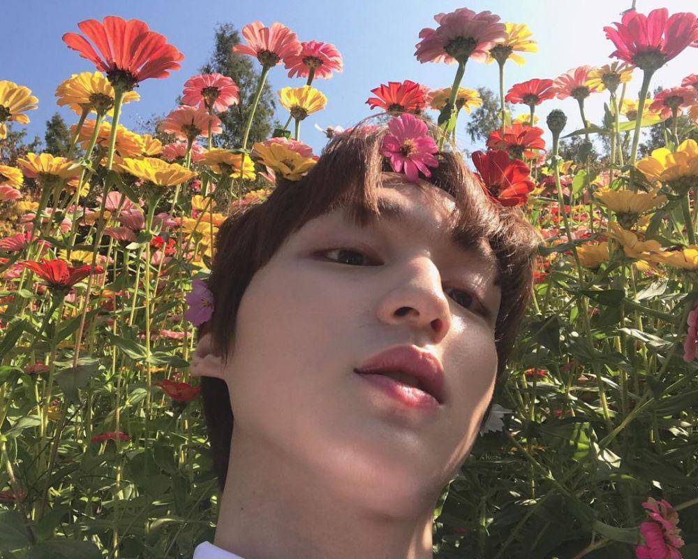 instagram.com/choijaehyun7