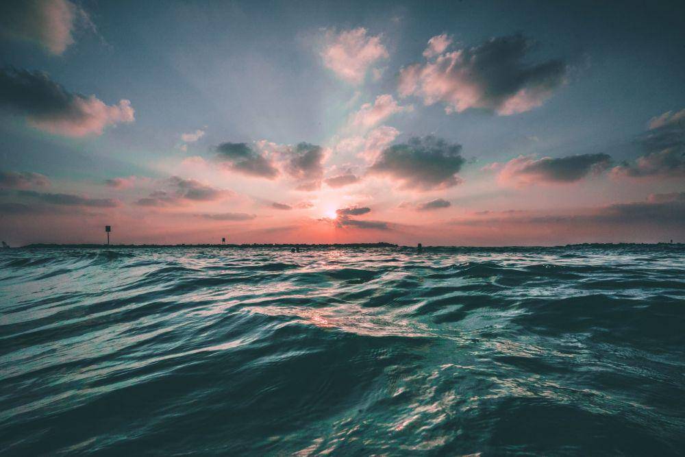 unsplash.com/Joseph B