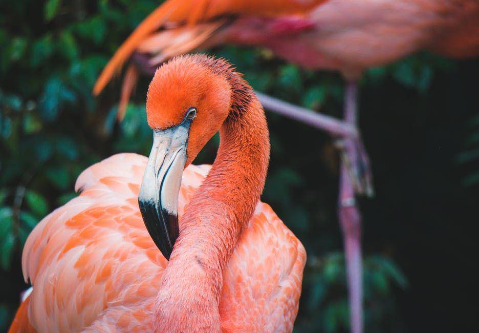 Pexels/jeswin thomas