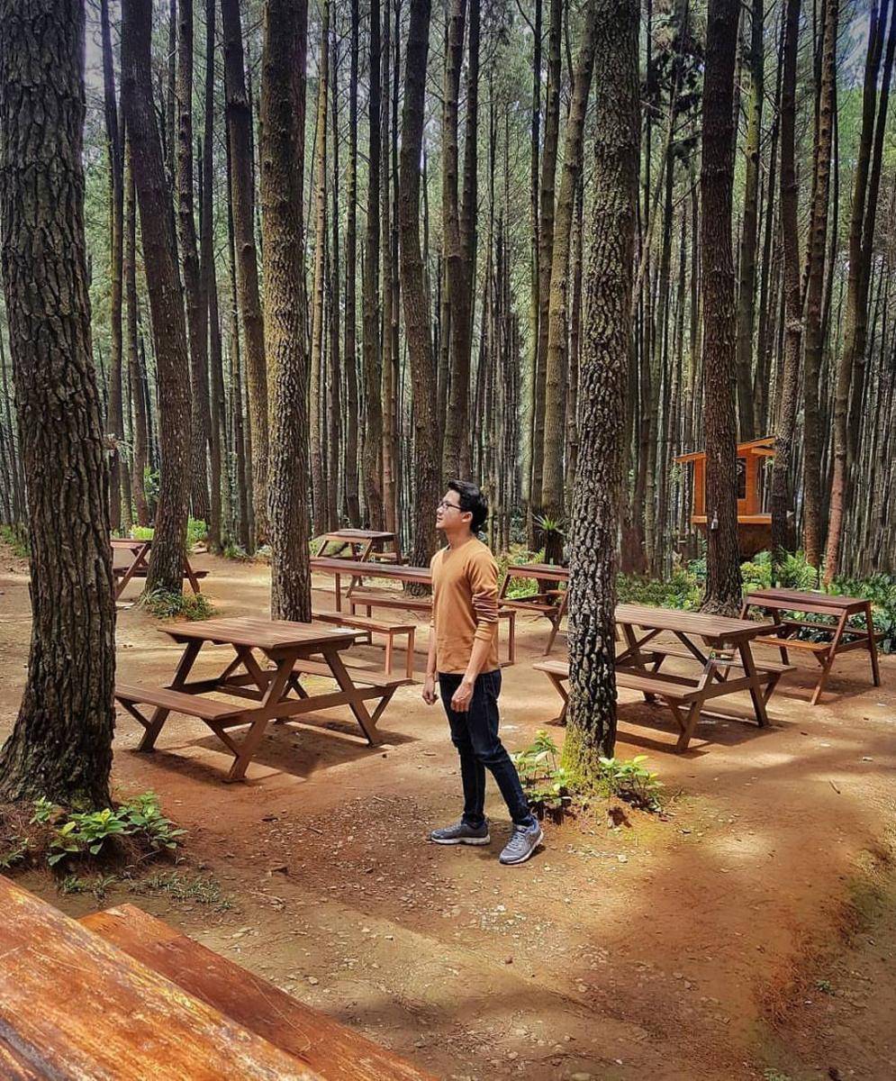 Hutan Pinus Gunung Pancar (instagram.com/genugraha)