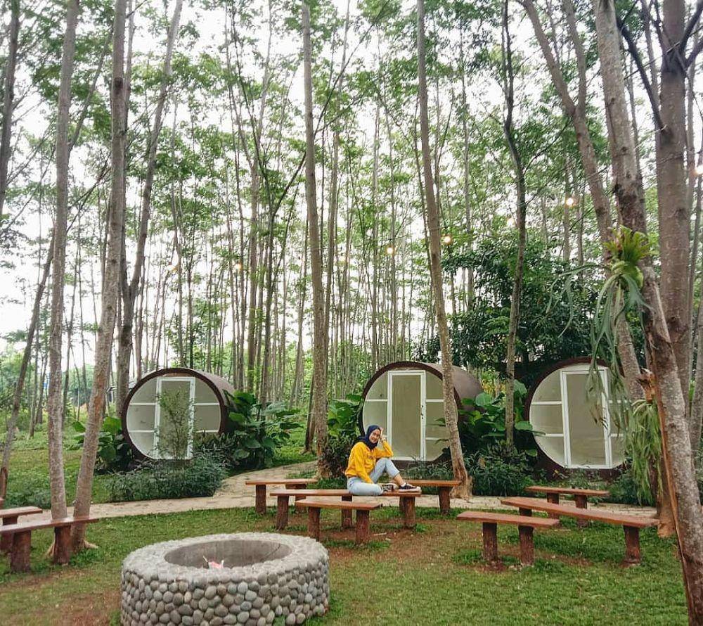 Padi Emas Sentul (instagram.com/vionaera23)