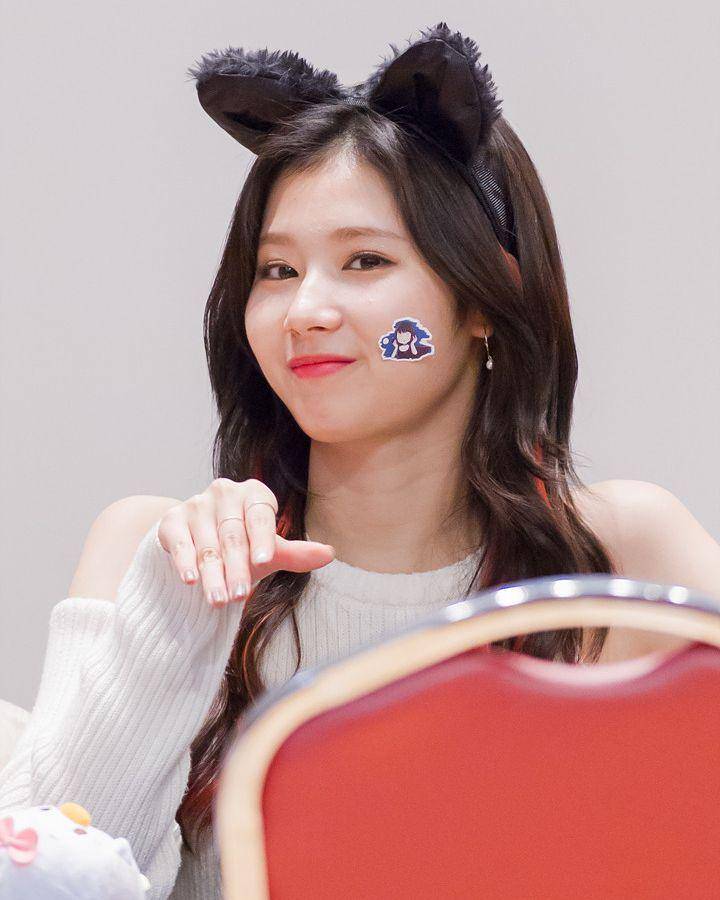 instagram.com/sana_twice