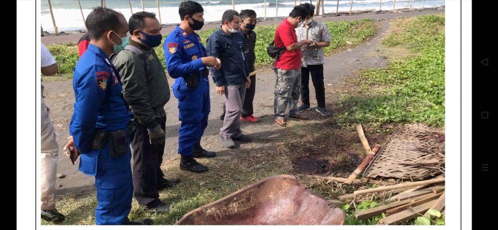 Warga Potong Paus Lodan yang Terdampar di Ketewel, Diambil Minyaknya