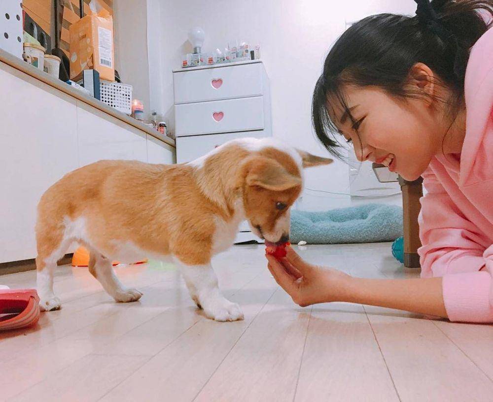 Instagram.com/gamjaandsimba/