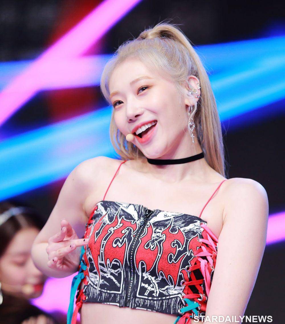 stardailynews.co.kr