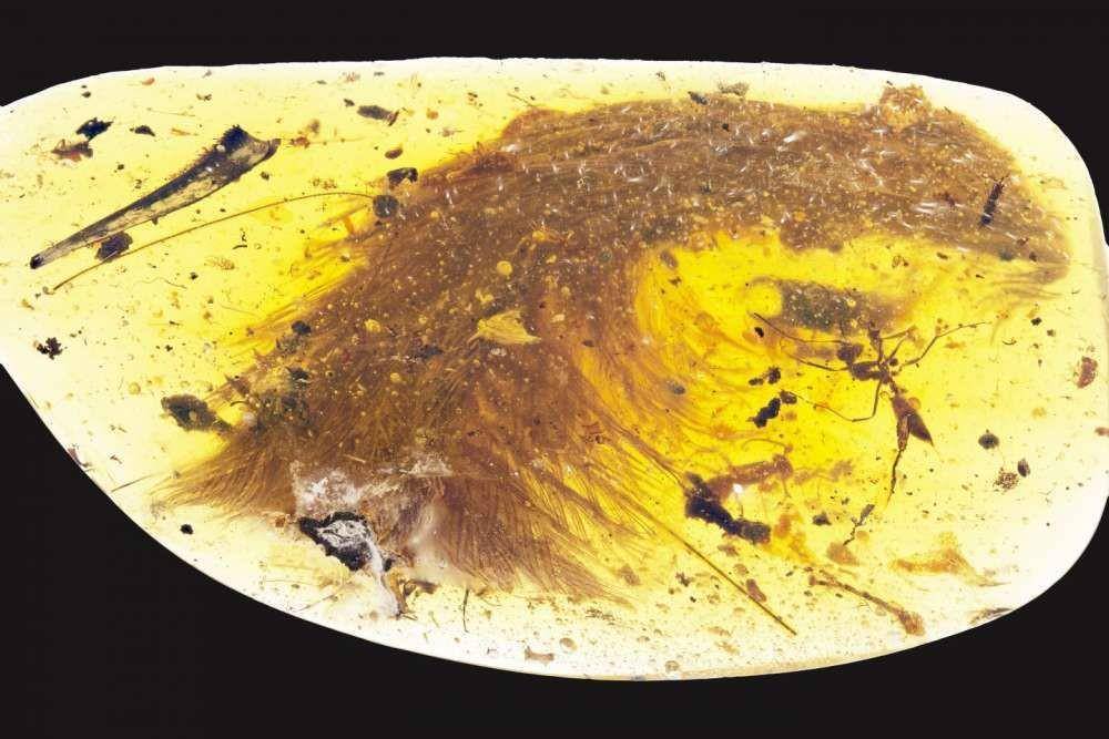 archaeology-world.com