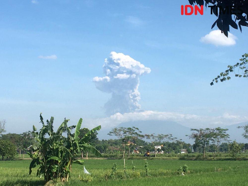 Letusan Gunung Merapi Mirip Kepala Bebek, Warga Percaya Bawa Pesan