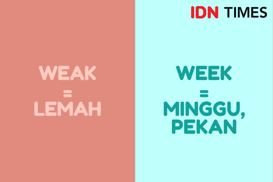 IDN Times/M. Tarmizi Murdianto