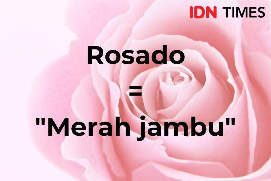 IDN Times/Tyas Hanina