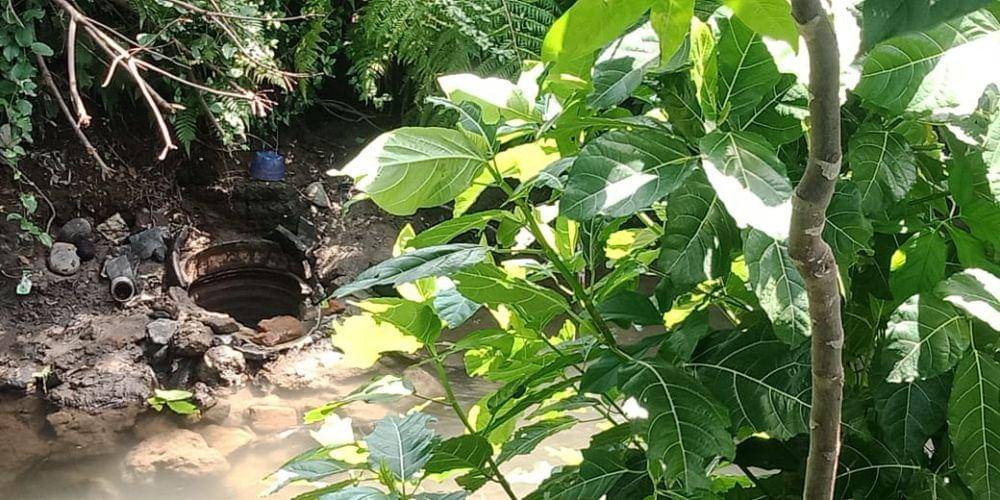 Lokasi temuan sumur kuno di Kediri, IDN Times/ istimewa